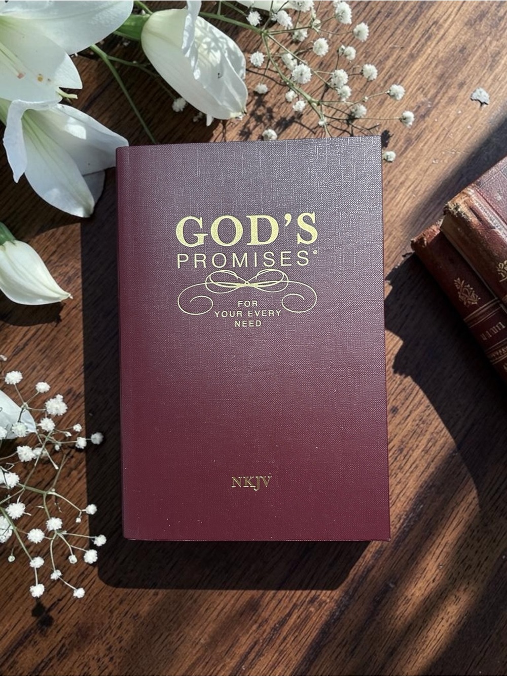 God's Promises For Your Every Need NKJV Paperback Book New